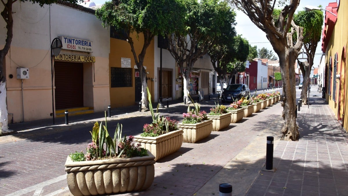 Suspenden proyecto de urbanismo en la calle Ignacio Altamirano