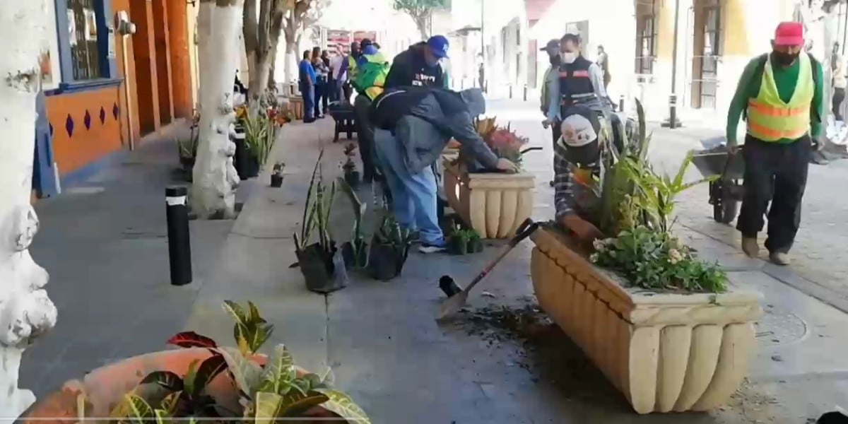 ¿Quitarán las jardineras de la calle Ignacio Altamirano?
