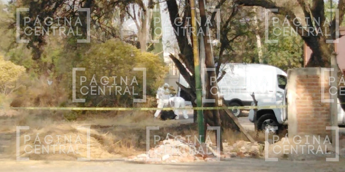 Hallan un ‘encobijado’ en el Portón de los Girasoles