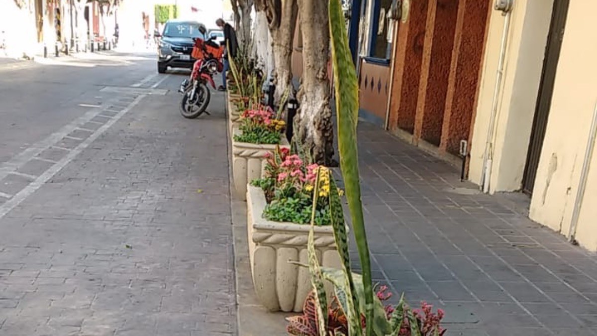 Meten reversa y quitan macetones de calle Altamirano