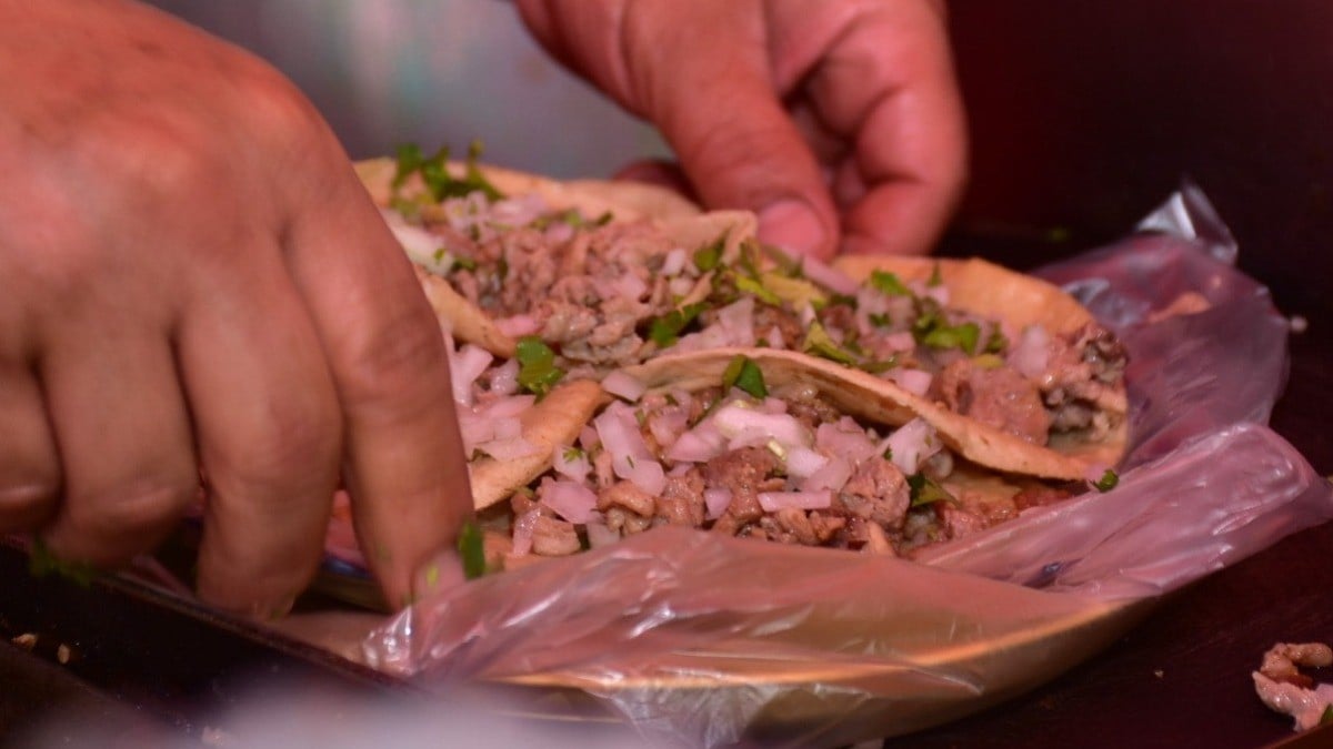 Taqueros leoneses, entre la tabla y el cuchillo...