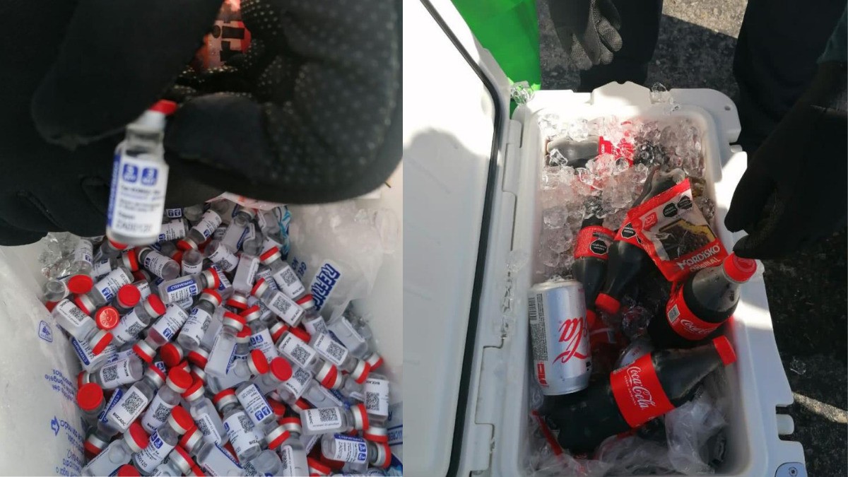 Decomisan 5 mil 775 dosis de vacuna Sputnik clandestinas en Campeche