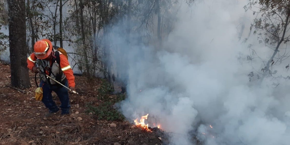 Hay cuatro incendios forestales activos en el estado