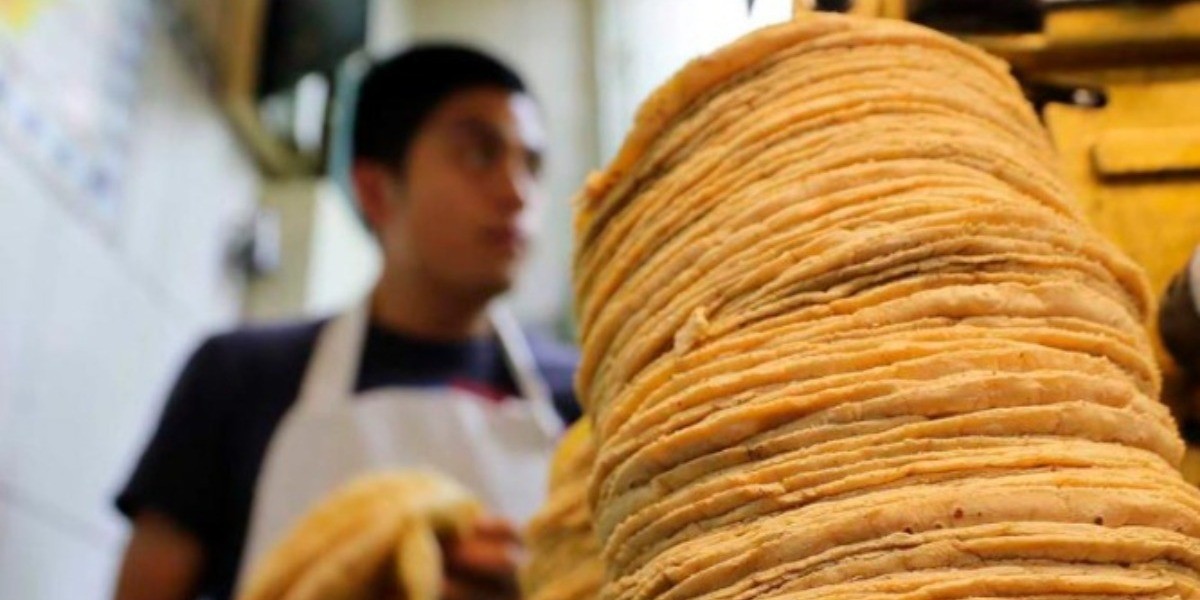 Clausurarán a tortillerías que violen precios