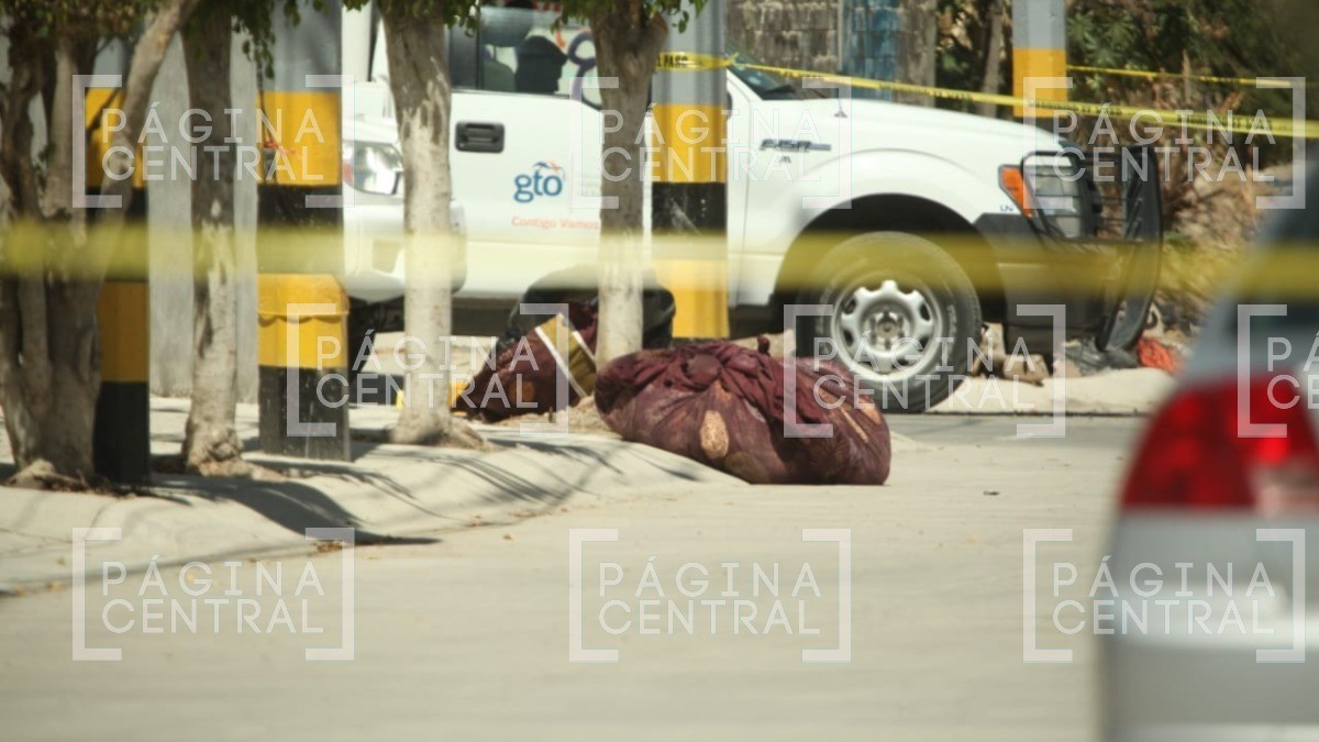 Tiran dos cuerpos en Parques del Sur