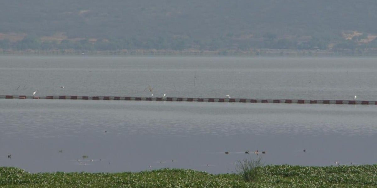 ‘Agoniza’ Laguna de Yuriria frente a la mirada de pescadores