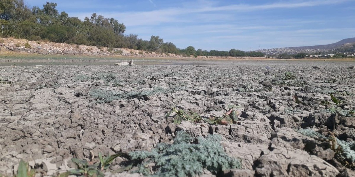 En Guanajuato cada vez llueve menos