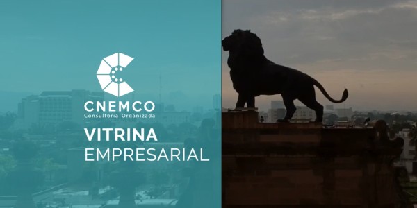 Promueven consultores su 'Vitrina Empresarial'