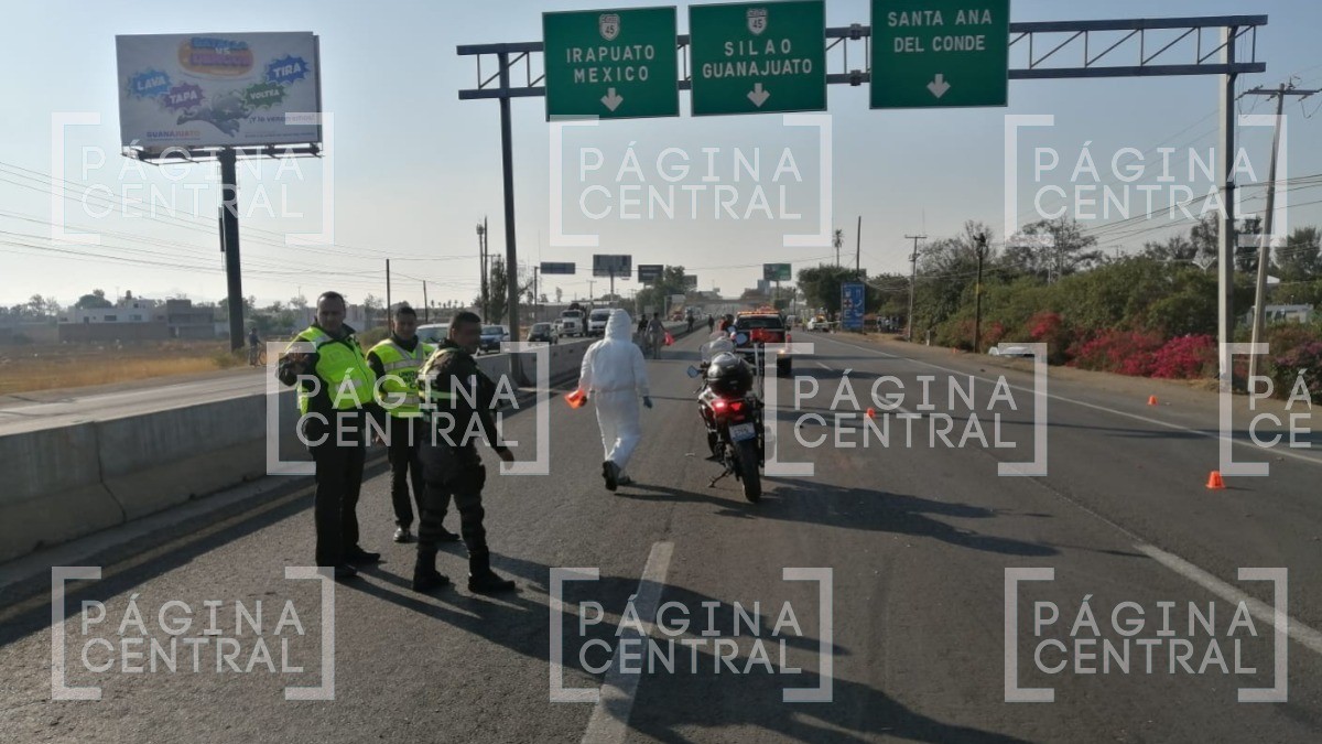 Atropello de hombre en la León-Silao causa caos vial