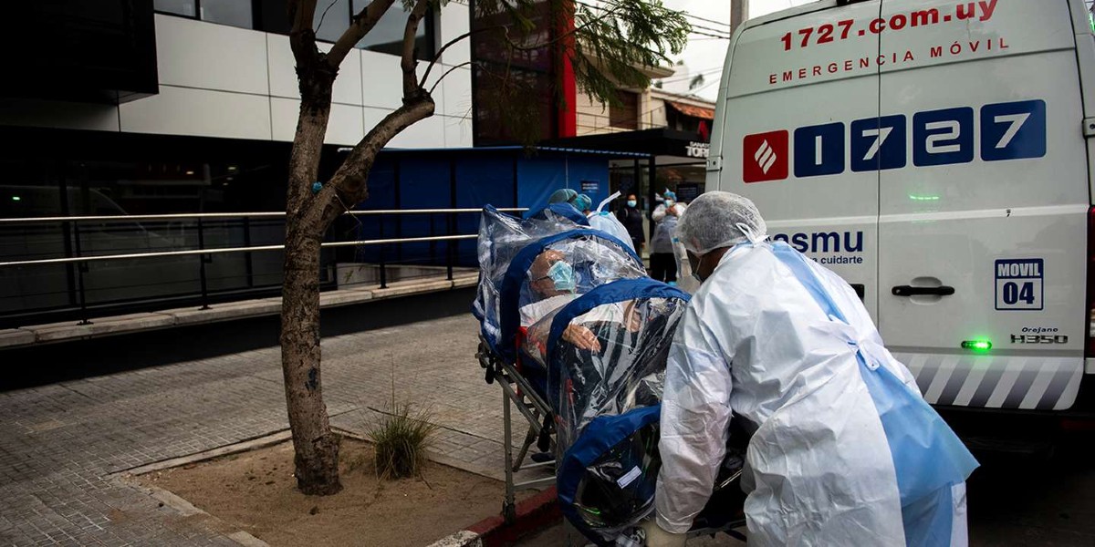 Llega a América el hongo negro que afecta a pacientes COVID