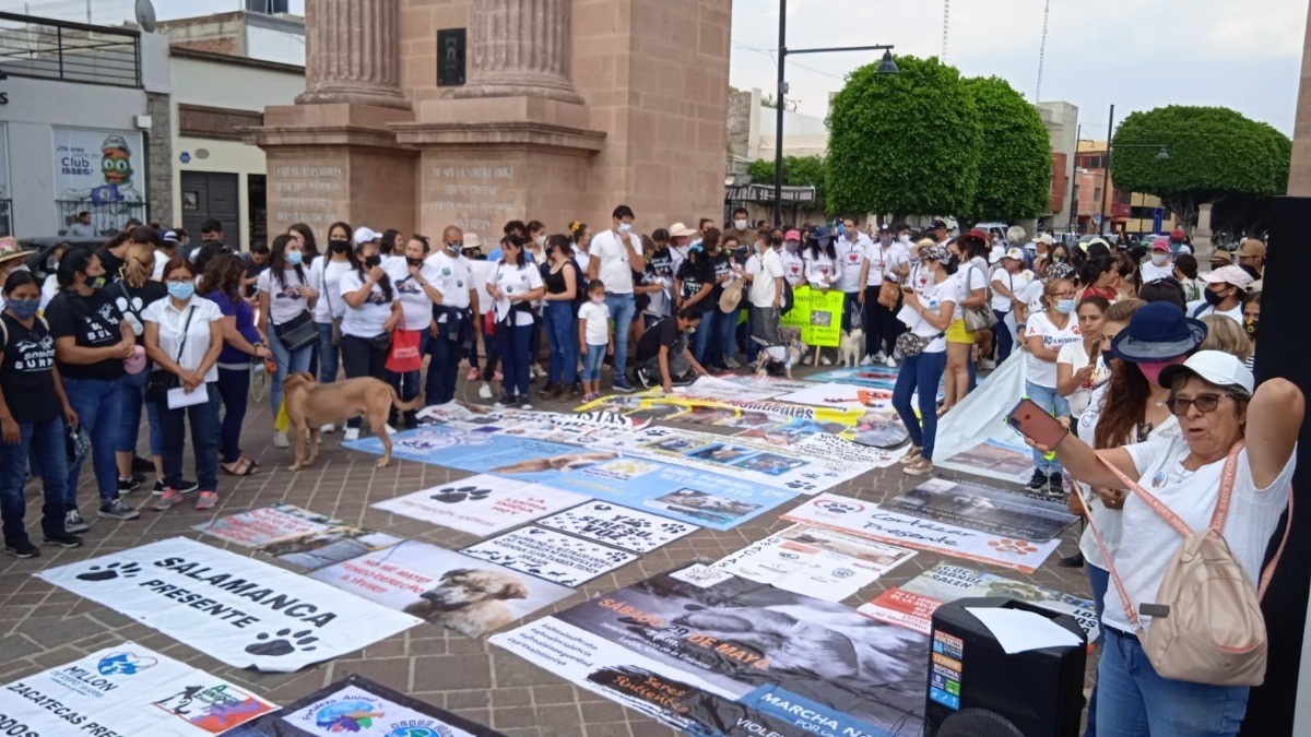 Marchan rescatistas leoneses en pro de tratar a animales como seres sintientes