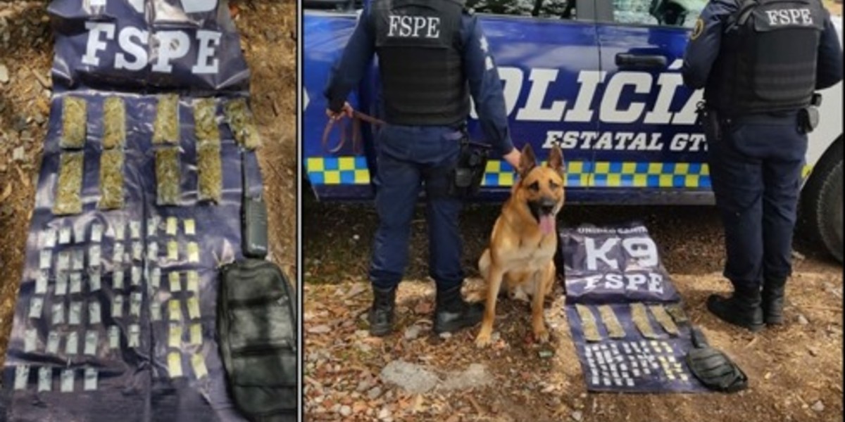 Operativo 'Guanajuato Seguro' logra confiscar 22 mil dosis de drogas