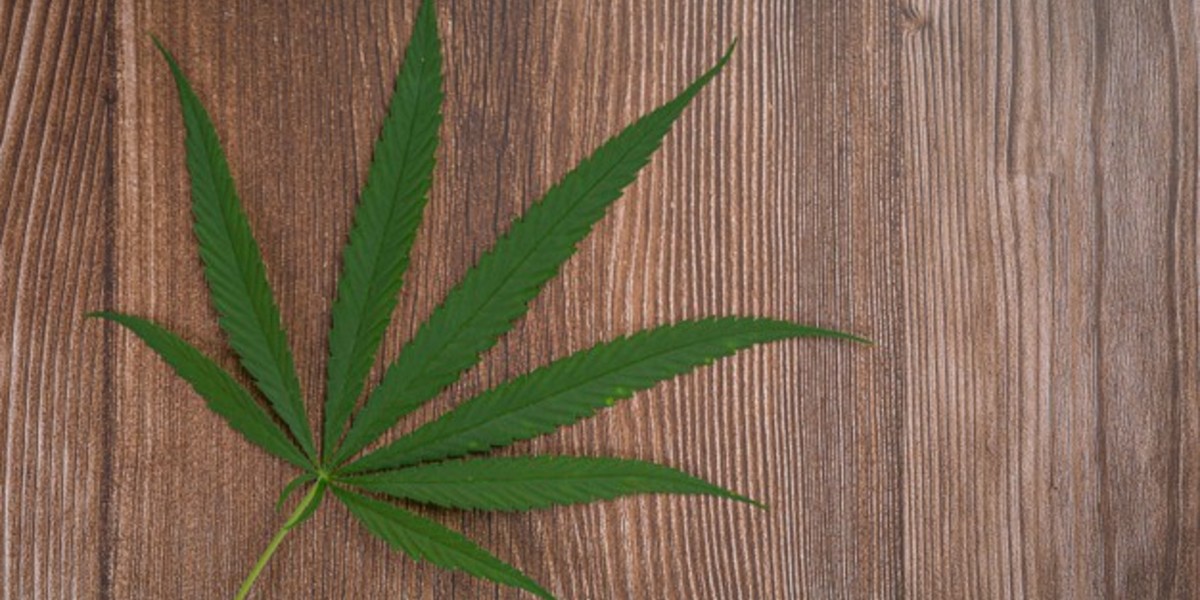 “Despenalización de la mariguana puede mejorar las cosas“: Concamin