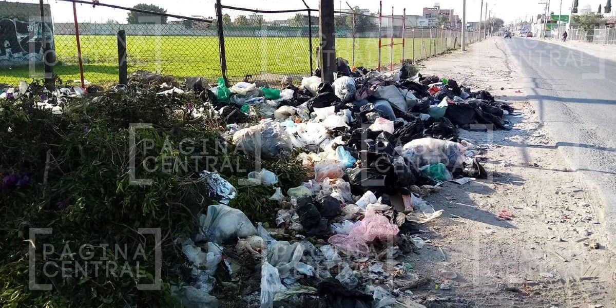 Pide director del SIAP que leoneses no conviertan los baldíos en basureros