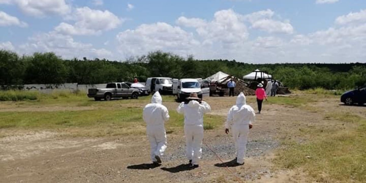 Encuentran en Nuevo León siete sitios de exterminio de Los Zetas