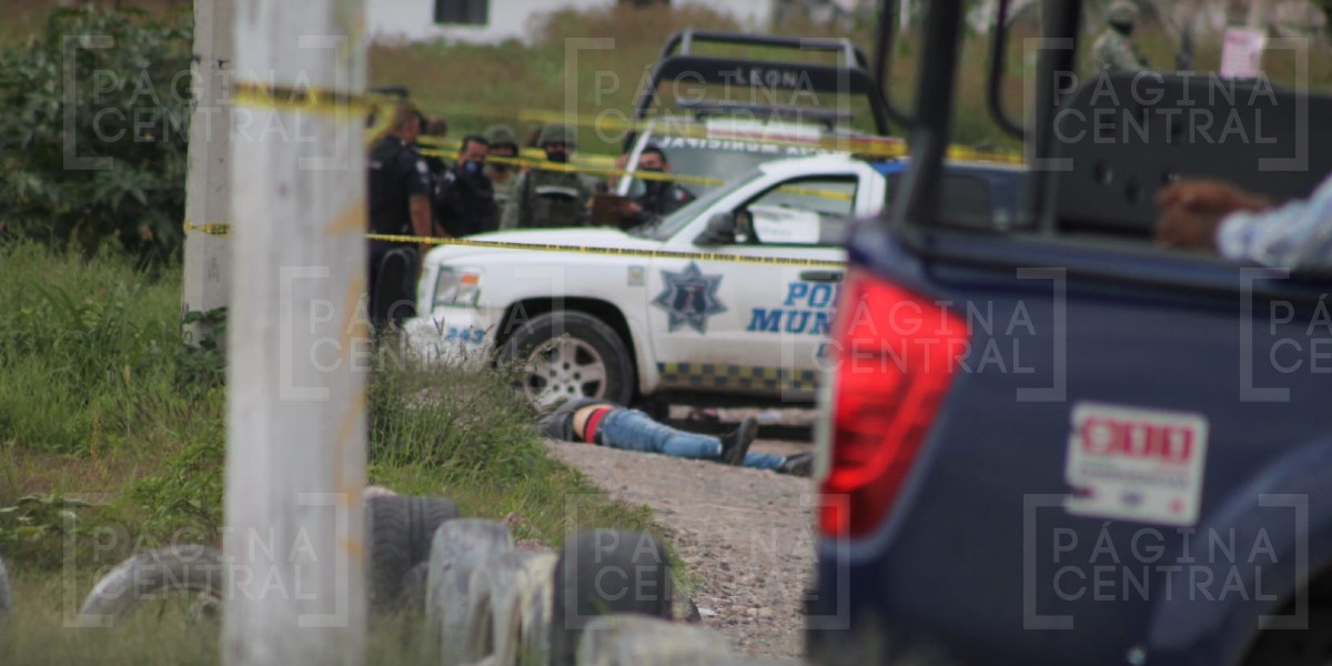 Asesinan a balazos a un hombre en León II