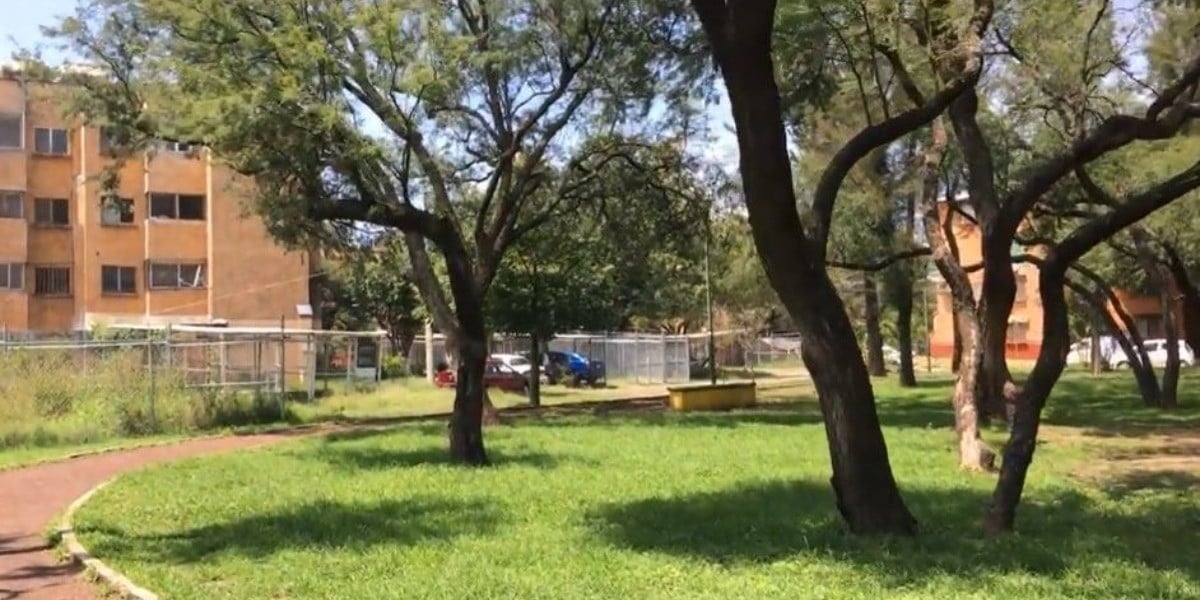 Denuncian vecinos de El Rosario aumento de atracos en la zona ante indolencia de autoridades