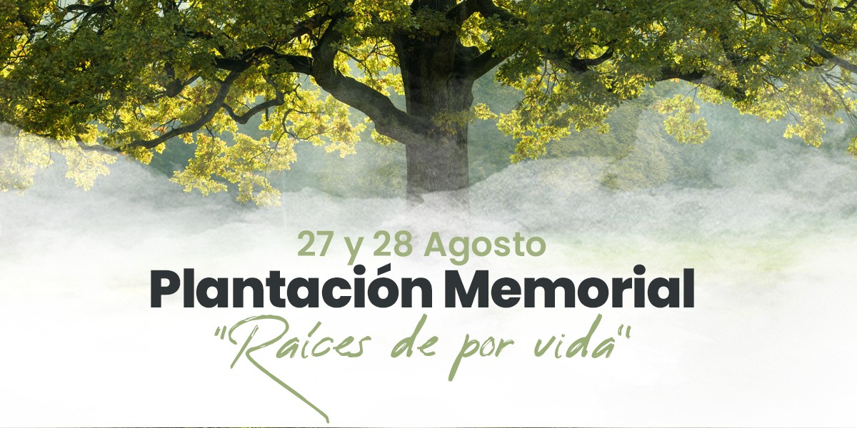 SMAOT plantará un árbol por cada deceso por COVID-19