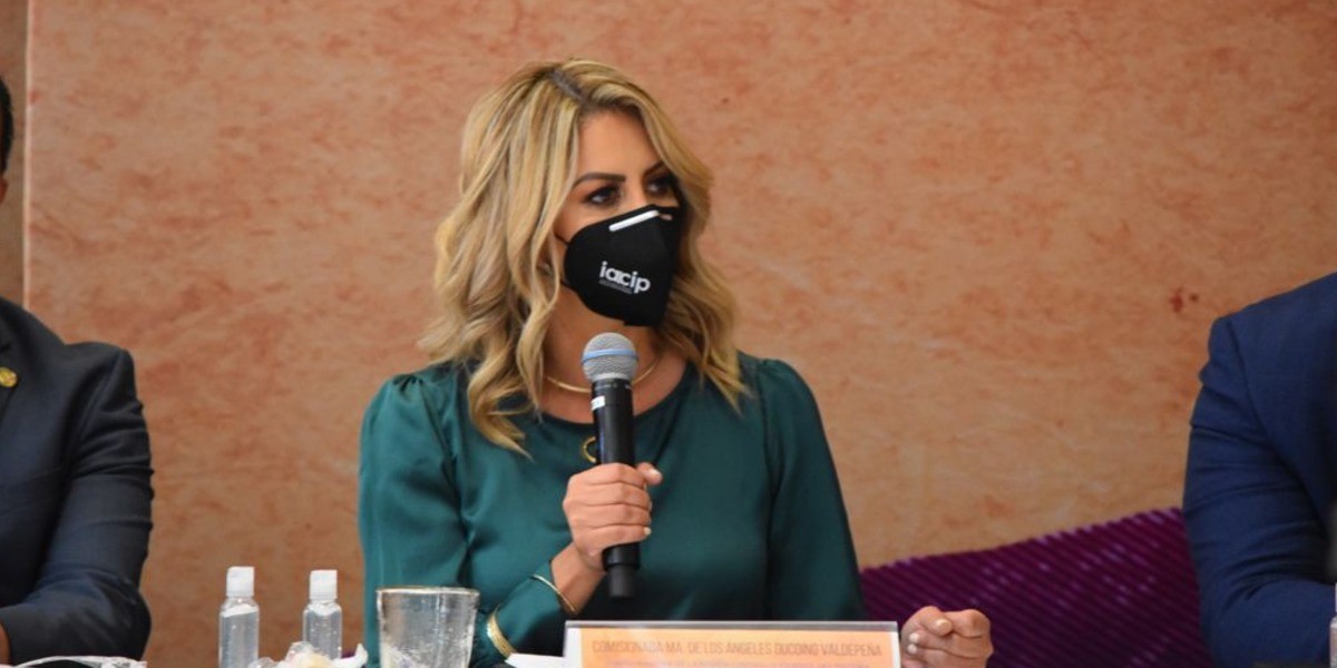 Comparten nueve estados avances en materia de transparencia