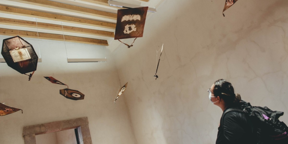 Inauguran exposición de Francisco Toledo en Purísima