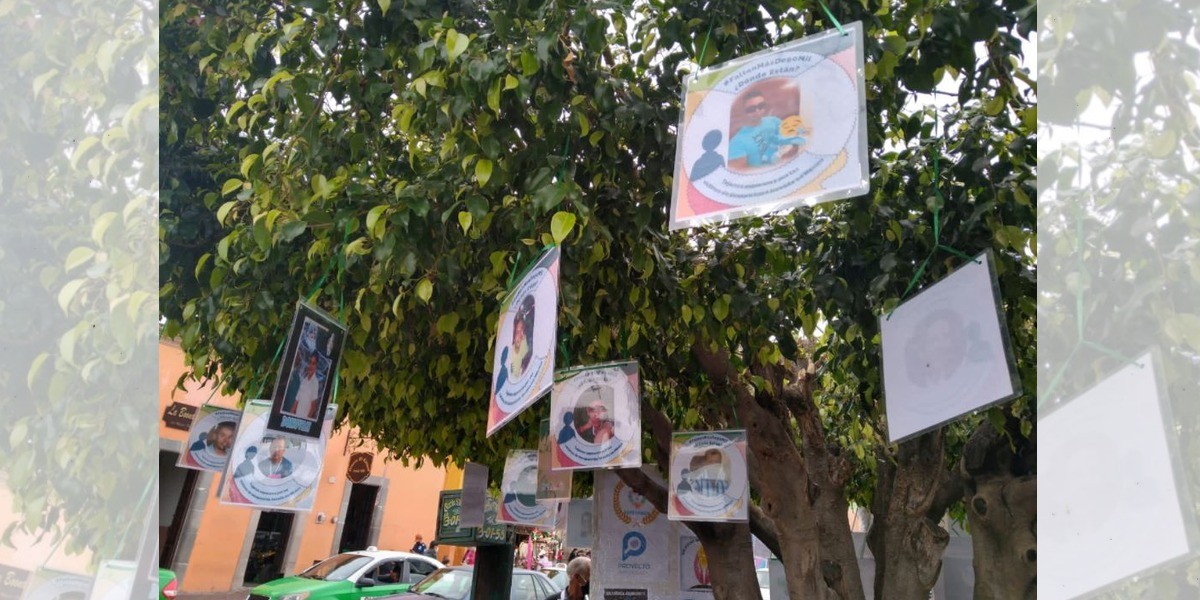 Piden colectivos no frenar búsqueda en campo de desaparecidos