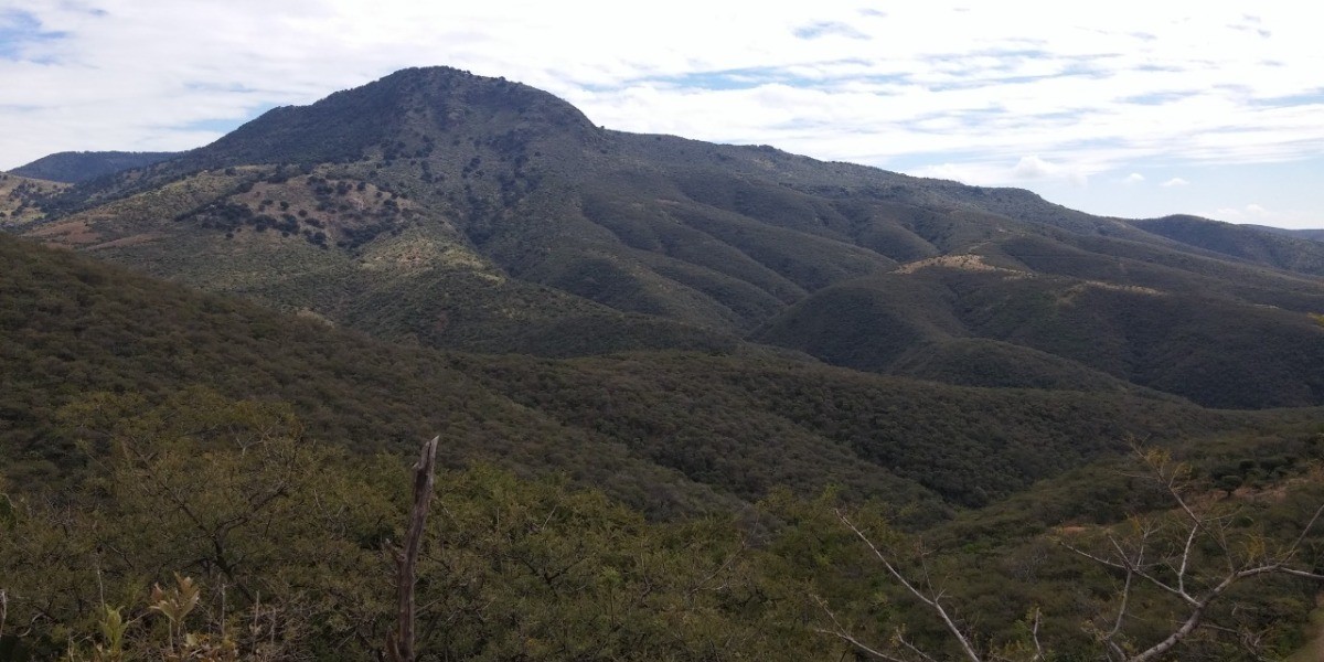 Ya investiga PC reportes de ‘temblores’ en el Cerro del Gigante