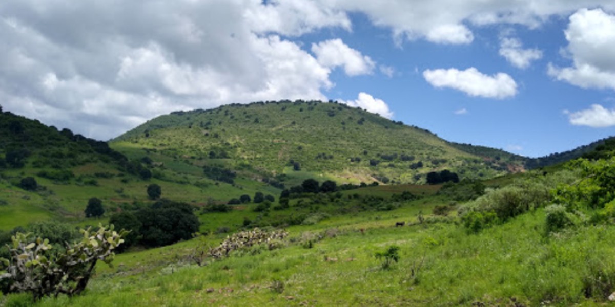 Protección Civil prepara acciones preventivas en el Gigante