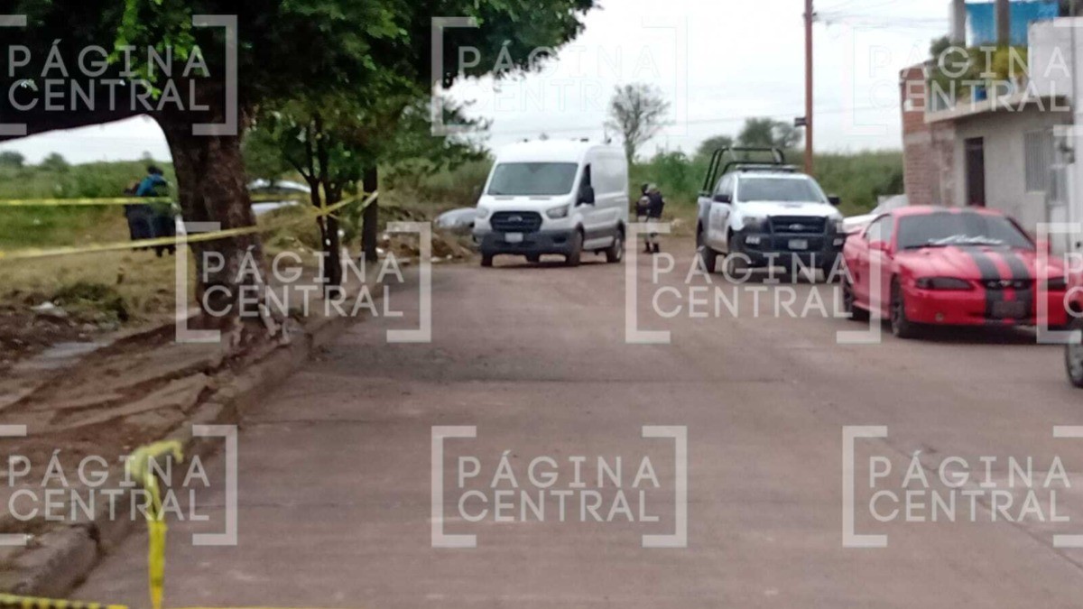 Abandonan dos cuerpos embolsados en Jardines de Jerez