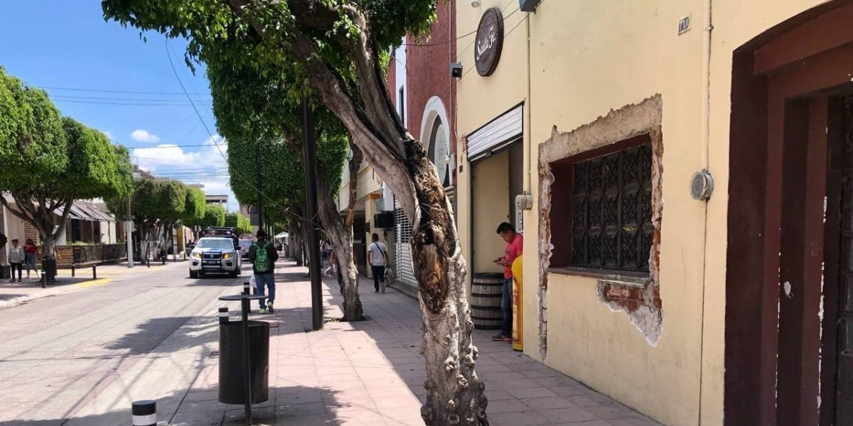 Tendrá León normativa para construcción de viviendas ante sismos