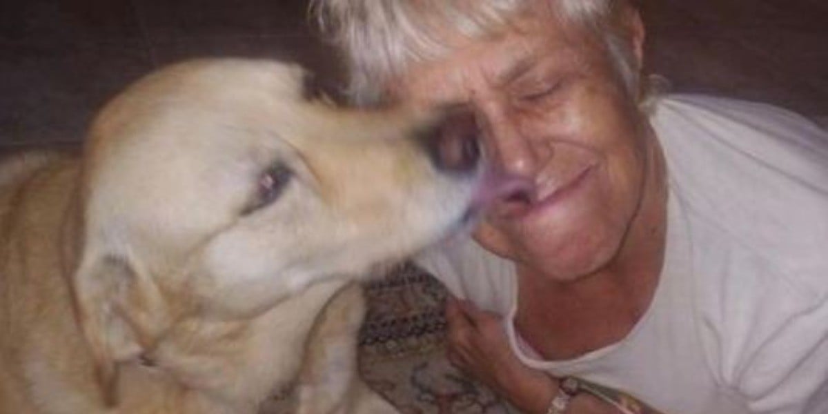 Septuagenaria salva a su perro saltando sobre un caimán