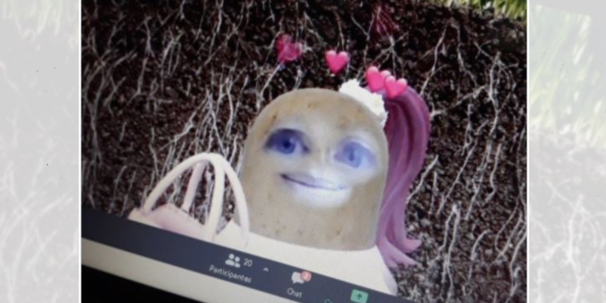 Profesora con ‘cara de papa’ se vuelve viral