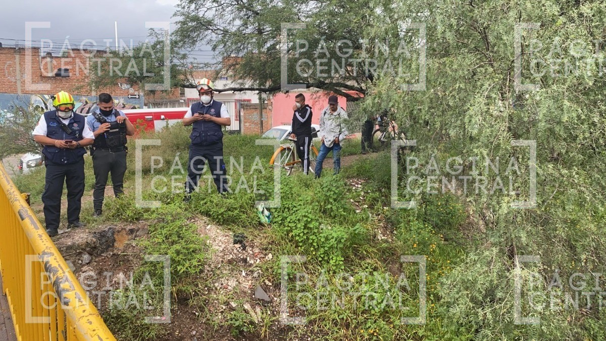 Aún no encuentran a David