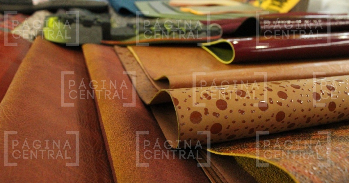 ANPIC Reconexión, todo un éxito