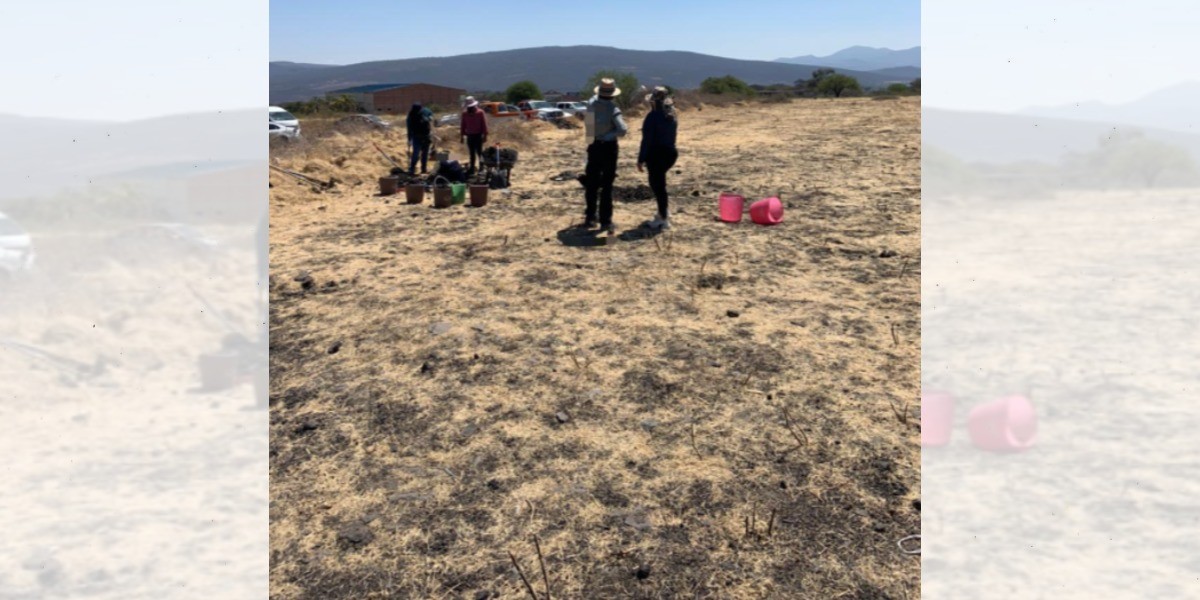 Pide integrar célula para buscar a desaparecidos en Juventino Rosas