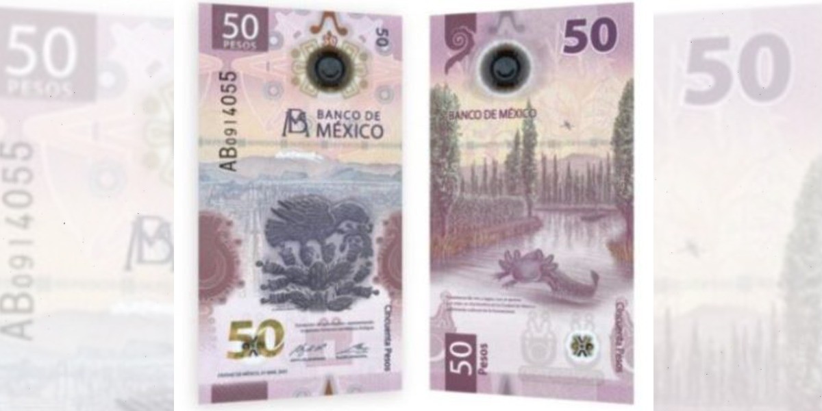 #VIDEO | Te presento el nuevo billete de 50 pesos; así es