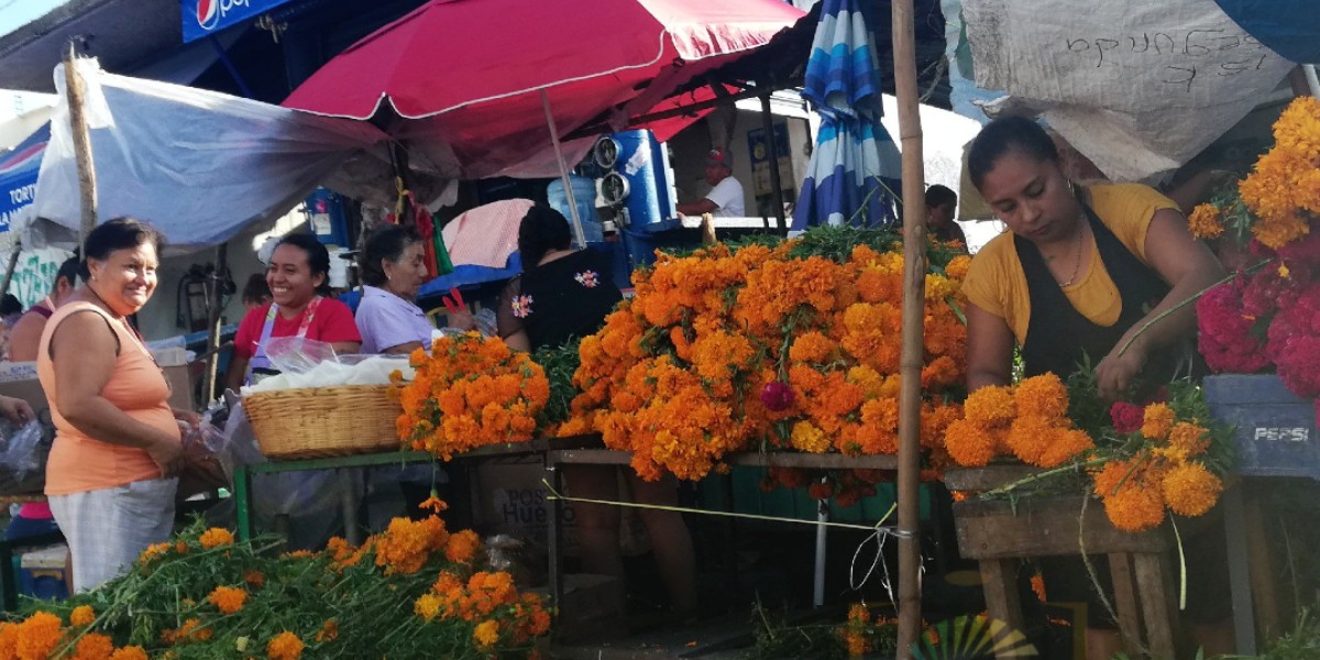 Comerciantes de flores denuncian hostigamiento de parte de la Dirección de Comercio