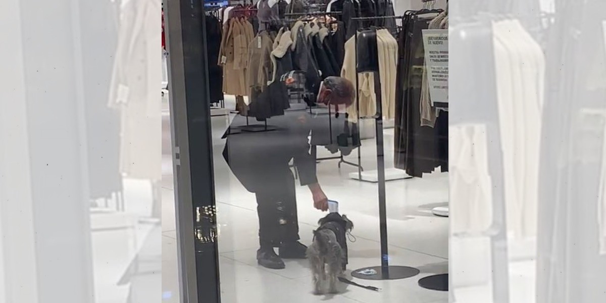 VIDEO: Vigilante de Zara le toma la temperatura... ¿a un perrito?