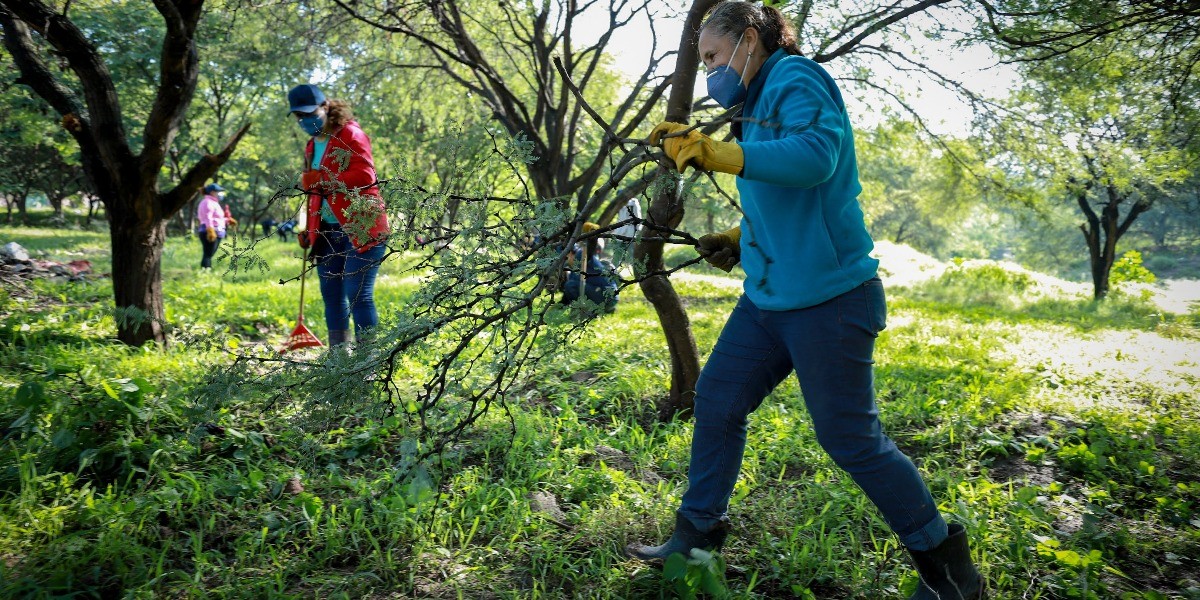Abren en León registro para empleo temporal