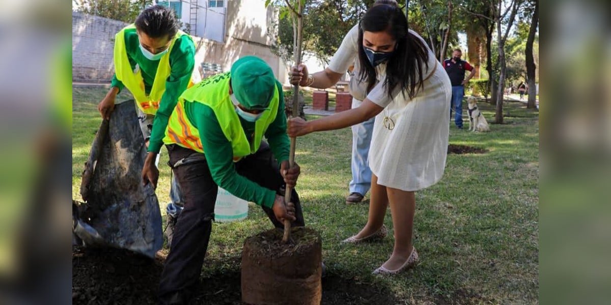 Busca Municipio de León reducir huella de carbono