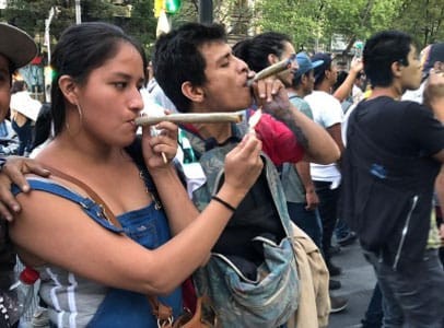 Consumidores podrían traer 200 gramos de mariguana: senado