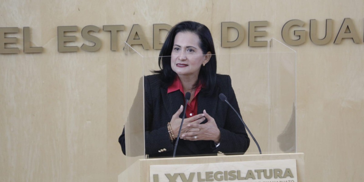 Retomar Ley de Amnistía ante sobrepoblación en cárceles, pide Morena