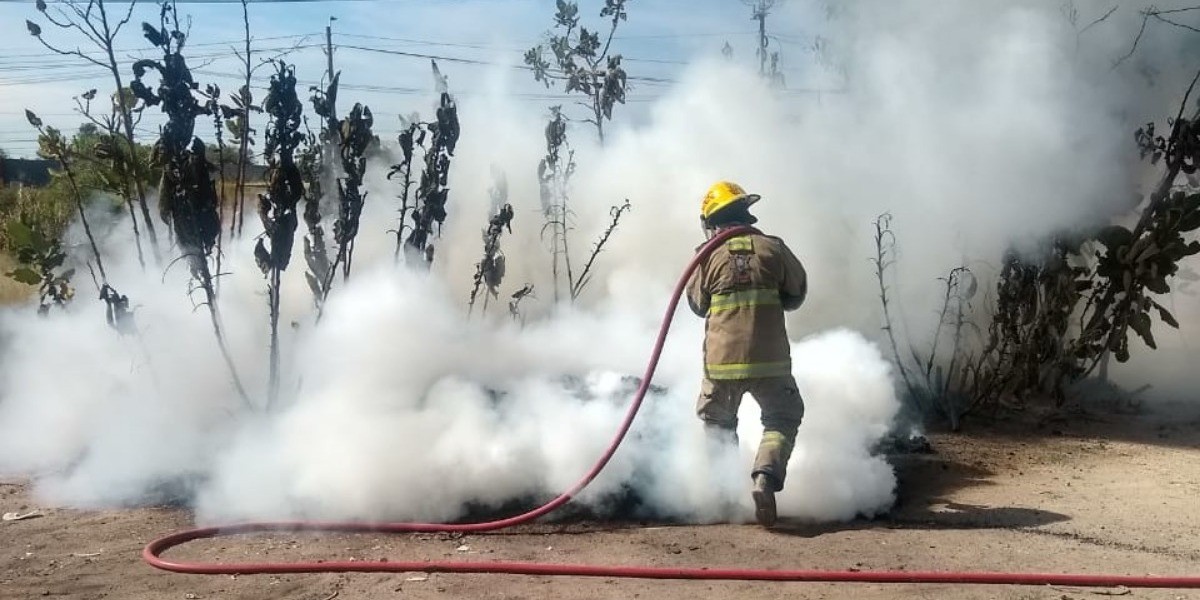 Reporta SMAOT reducción en quema de pastizales, pirotecnia y esquilmos