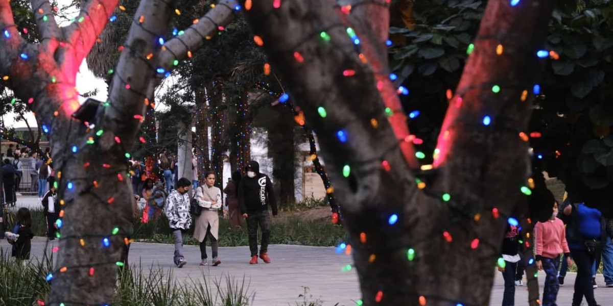 Pide OMS cancelar festejos decembrinos