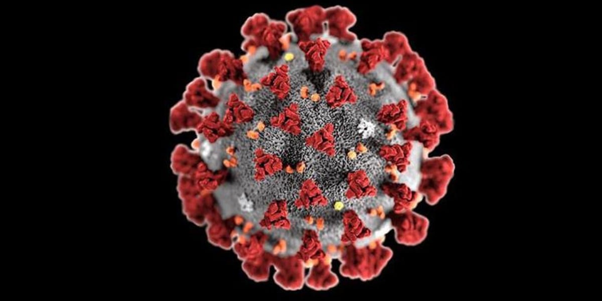 Son cinco casos en investigación de la posible variante Ómicron
