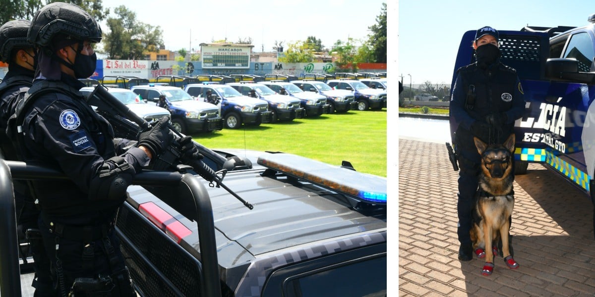 Impulsan profesionalización de policías estatales y municipales