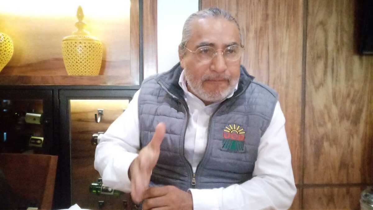 Quitan autos extranjeros registrados por UCD; tolera gobierno otros ilegales