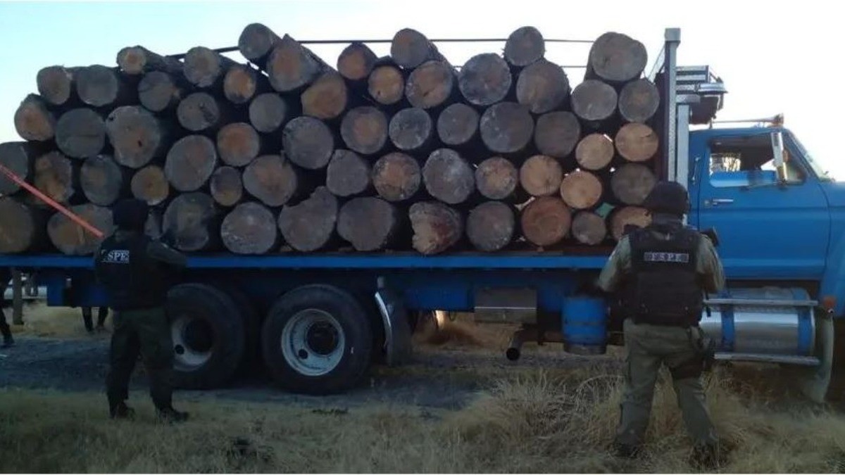 Caen siete talamontes en la sierra de Jerécuaro