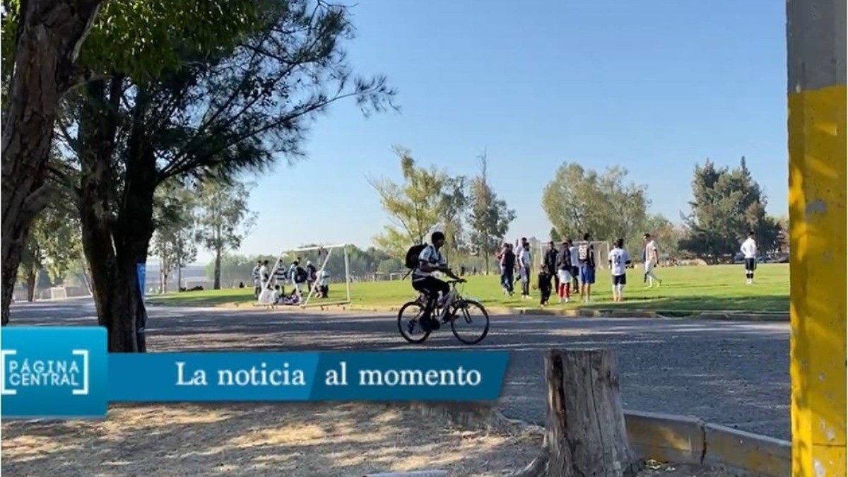 Arrancó el Pase Verde, ¿lo aprovechaste?