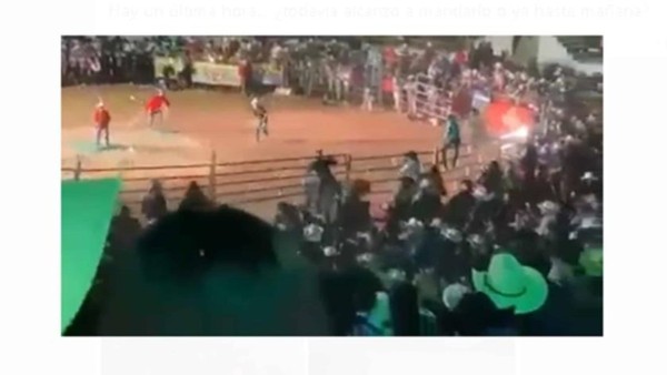 Se sale toro del ruedo en Michoacán