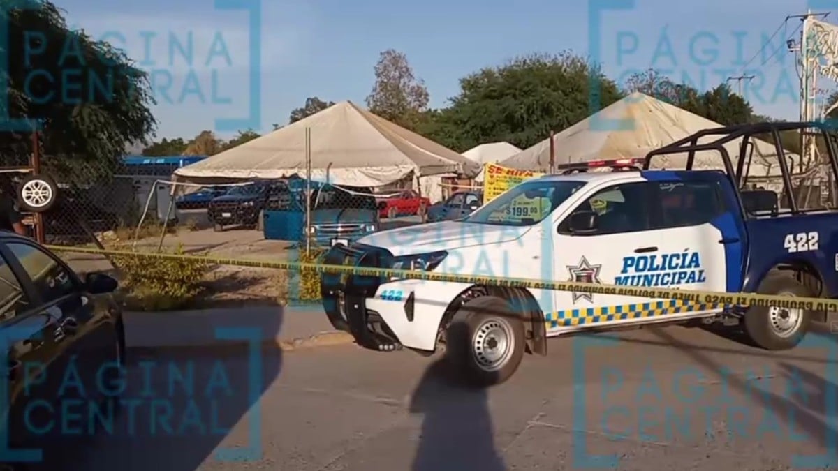 Axel, de cuatro años, muere atacado por jauría de perros en Las Trojes